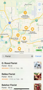 Apple Maps search for Florist