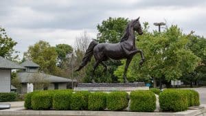 Kentucky Horse Park Statue in Lexington, KY